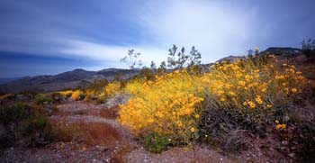 DeathValley_1B_037