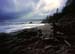 Kalaloch_9B_053